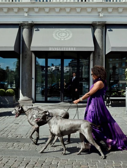 Dogs on d'Angleterre