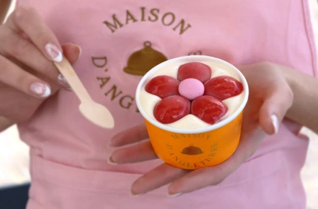 Maison ice cream 2026