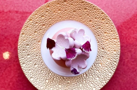 Maison cake1