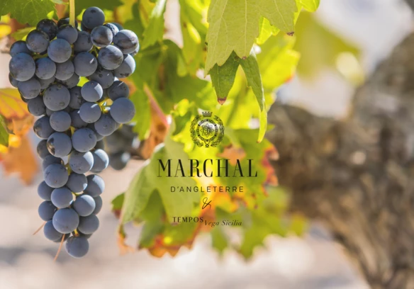 Marchal x Tempos Vega Sicilia