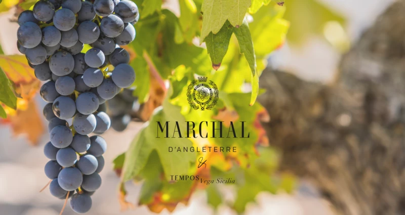 Marchal x Tempos Vega Sicilia