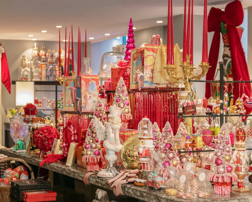 Creations Christmas photoshoot