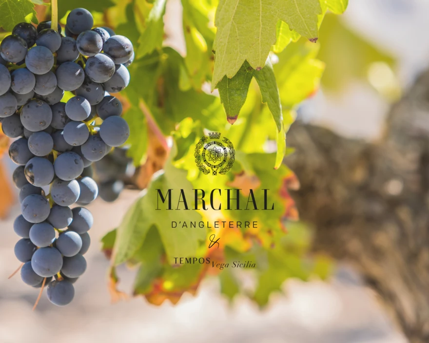 Marchal x Tempos Vega Sicilia