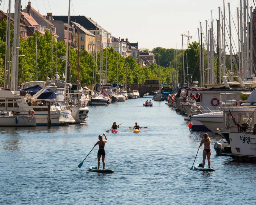 Harbour__Giuseppe_Liverino (1)