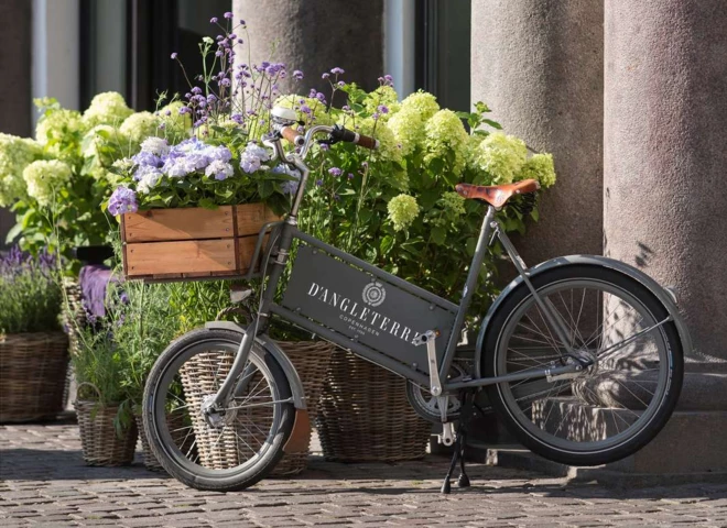 d'Angleterre_bike-1600px