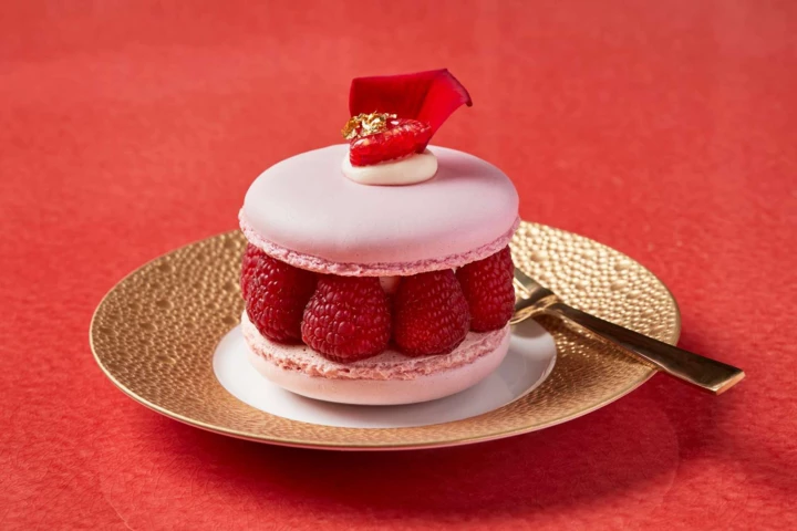 MAISON Pink Cake-1600px